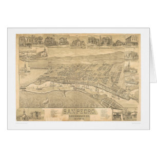 San Pedro, CA. Panoramic Map 1895 (1319A)