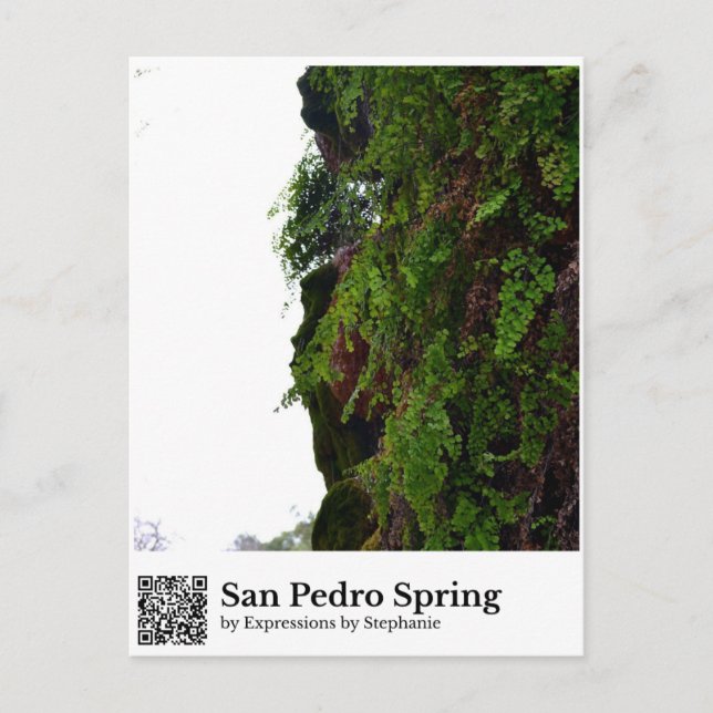 San Pedro Spring Postcard (Front)