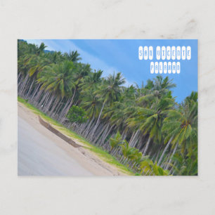 San Vicente in Palawan Postcard