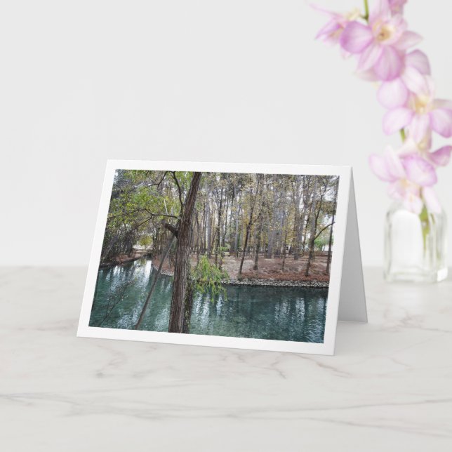 San Vicente Park, Lliria, Valencia, Spain Card (Orchid)