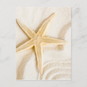 Sand and a Starfish natural neutral colour Postcard