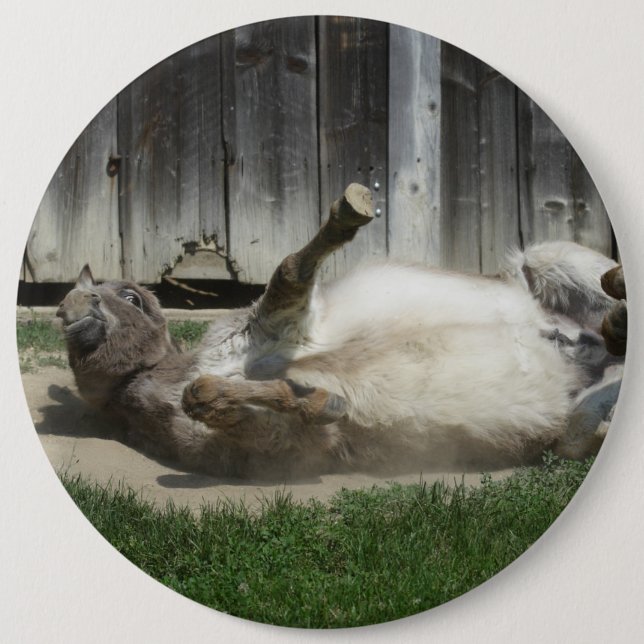 Sand Bathing Donkey 6 Cm Round Badge (Front)