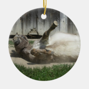 Sand Bathing Donkey Ceramic Tree Decoration