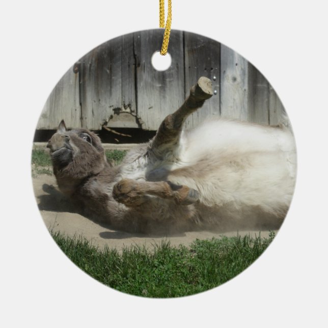 Sand Bathing Donkey Ceramic Tree Decoration (Front)