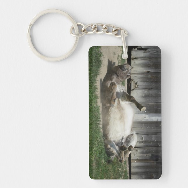 Sand Bathing Donkey Key Ring (Front)