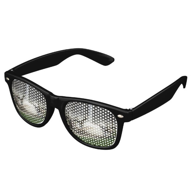 Sand Bathing Donkey Retro Sunglasses (Angled)