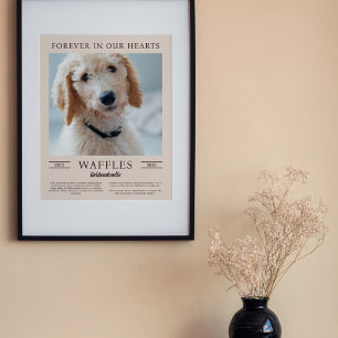 Sand & Brown Dog Memorial Portrait Photo Poster