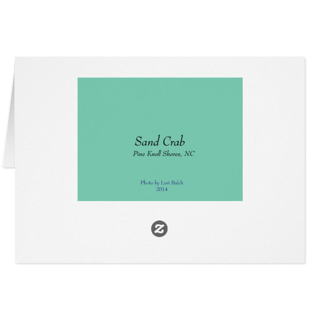 Sand Crab (Back Horizontal)