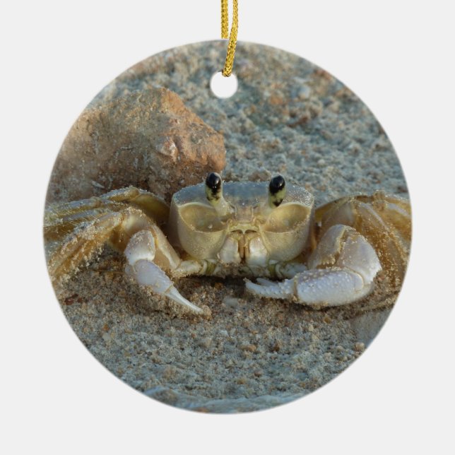 Sand Crab Ceramic Ornament (Front)