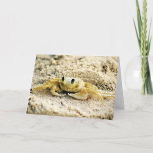 Sand Crab, Curacao, Caribbean islands, Greeting Card