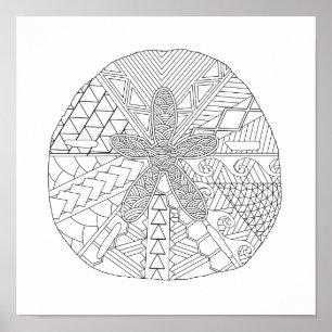 Sand Dollar Adult Colouring Poster