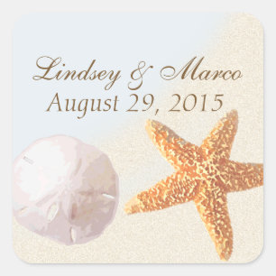 Sand Dollar and Starfish Shell Beach Square Sticker