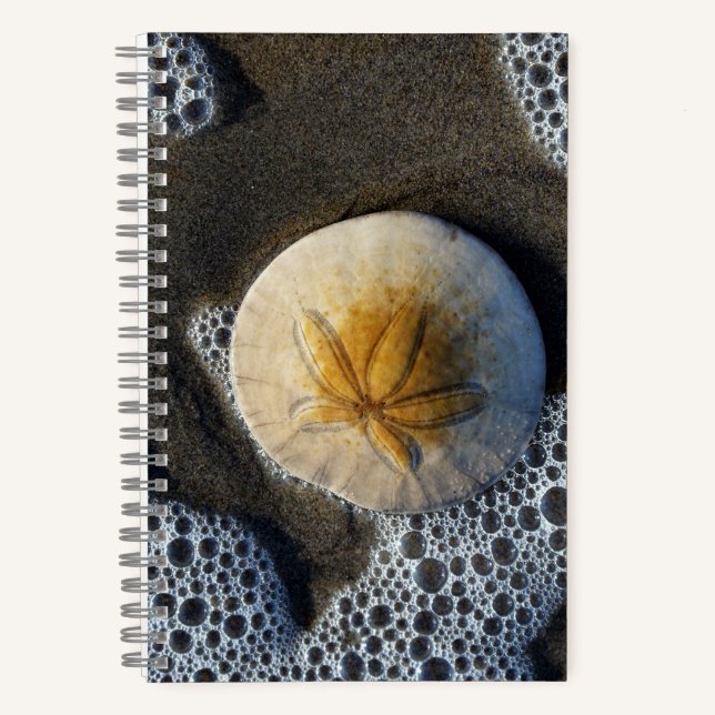 Sand Dollar and Surf Beach Photo 8x5 Notebook (Front)