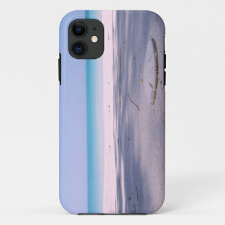 Sand Dollar Beach iPhone 11 Case