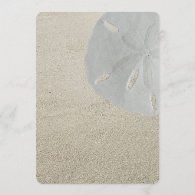 Sand Dollar Beach Sand Blank Program Fan Paper (Front)