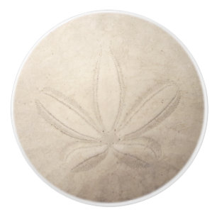 Sand Dollar Ceramic Pull