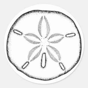 sand dollar classic round sticker