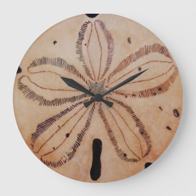 Sand Dollar Clock (Front)