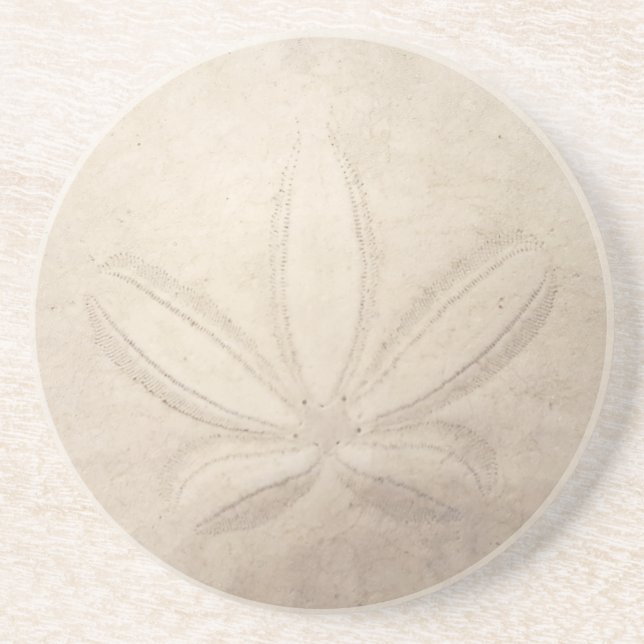 Sand Dollar Coaster (Front)