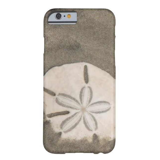Sand dollar (Echinarachnius parma) Case-Mate iPhone Case (Back)