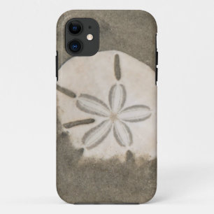 Sand dollar (Echinarachnius parma) iPhone 11 Case