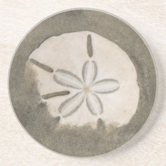 Sand dollar (Echinarachnius parma) Coaster (Front)