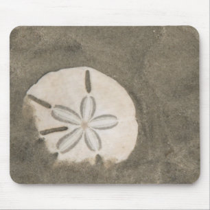 Sand dollar (Echinarachnius parma) Mouse Pad