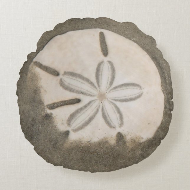 Sand dollar (Echinarachnius parma) Round Cushion (Front)
