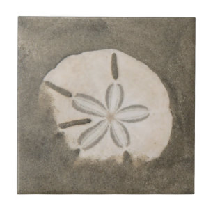 Sand dollar (Echinarachnius parma) Tile