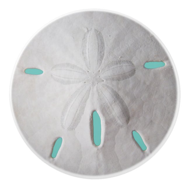 Sand dollar ocean beach summer turquoise white  co ceramic knob (Front)