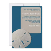 Sand dollar, Ocean Blue Beach Wedding