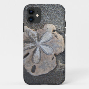 Sand dollar on sand iPhone 11 case