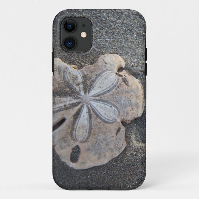 Sand dollar on sand Case-Mate iPhone case (Back)