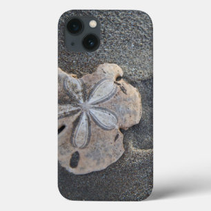 Sand dollar on sand iPhone 13 case