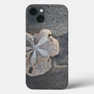 Sand dollar on sand iPhone 13 case