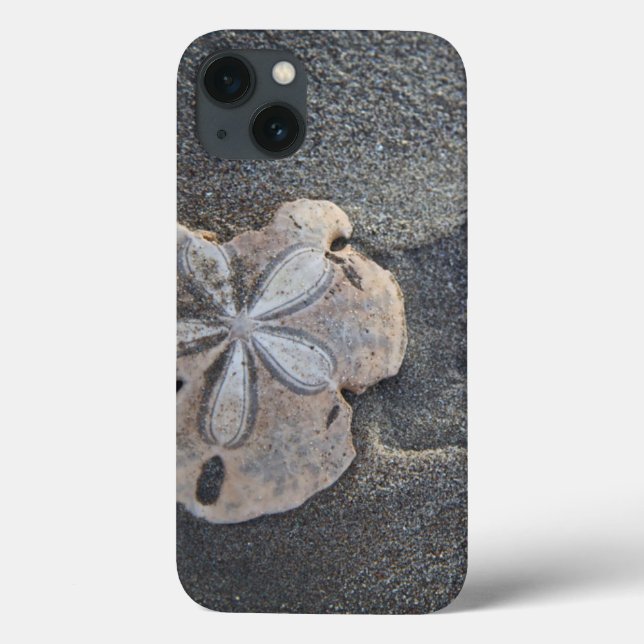 Sand dollar on sand Case-Mate iPhone case (Back)