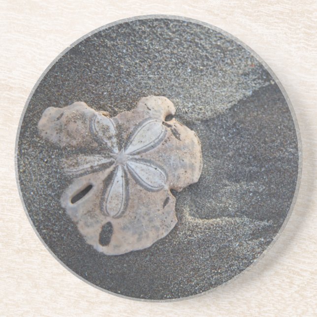 Sand dollar on sand coaster (Front)