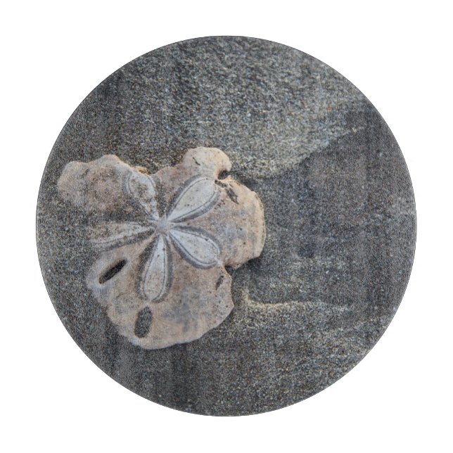 Sand dollar on sand cutting board (Front)