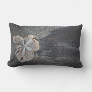 Sand dollar on sand lumbar cushion