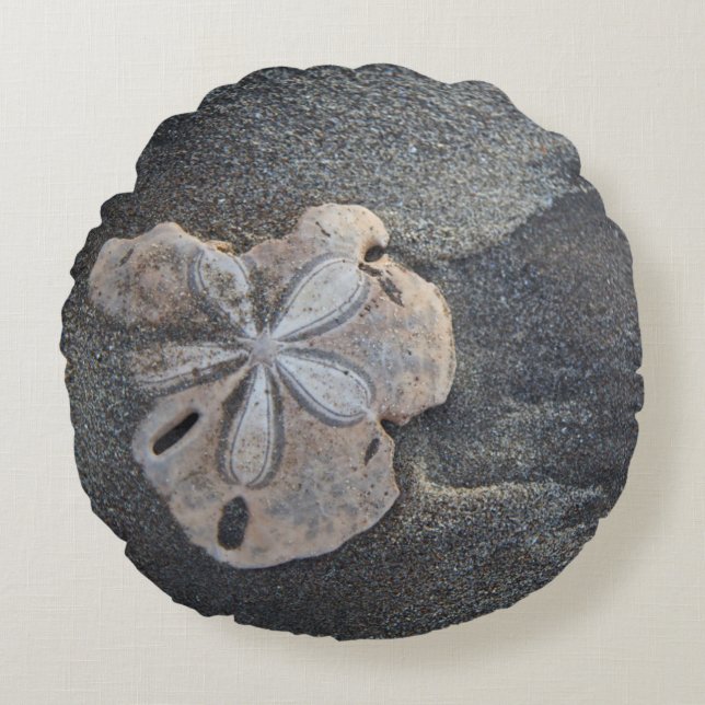 Sand dollar on sand round cushion (Front)