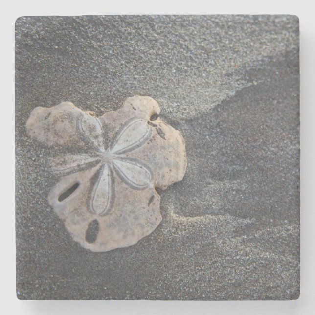 Sand dollar on sand stone coaster (Front)