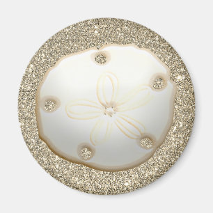Sand dollar on sparkly gold beach sand magnet