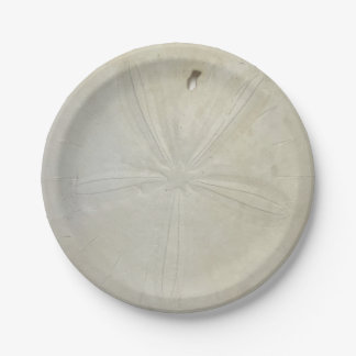 Sand Dollar Paper Plate