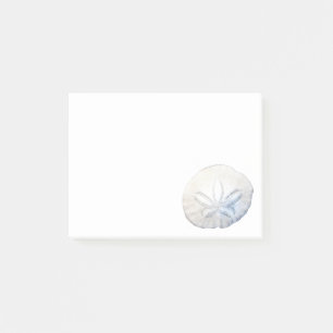Sand Dollar Photo 4x3 Notes Stationery