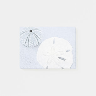 Sand Dollar Post-it Notes