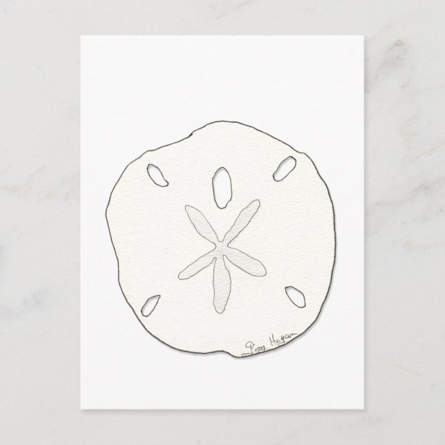 Sand Dollar Postcard (Front)
