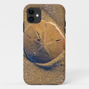 Sand Dollar Revealed On Beach Hilton Head Island iPhone 11 Case