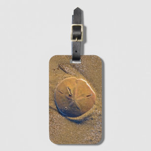 Sand Dollar Revealed On Beach Hilton Head Island Luggage Tag