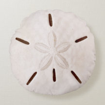 Sand Dollar