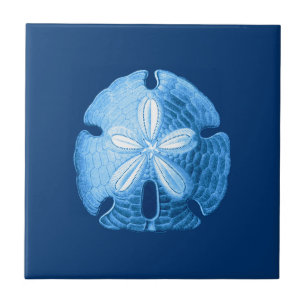 Sand Dollar Sea Life Print, Indigo Blue and White Ceramic Tile